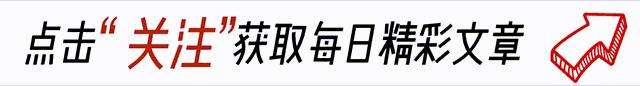 2024澳门天天开好彩大全，全面把握解答解释策略：孙楠从乐坛巨星到田园父亲，婚姻波折后他如何找到真正幸福？看完  